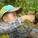 상혁농장 이미지