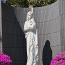 풍납동성당 이미지