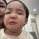 푸른연합의원 이미지