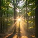 소망세탁소 이미지