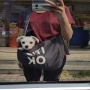 행신동물병원 이미지