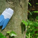 힐링블럭 이미지