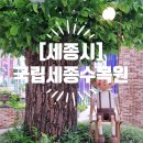 정이품송가든 | [세종시] &lt;국립세종수목원&gt;을 다녀와서(야간개장 정보, 주차, 기획전, 푸드코트, 식당, 카페, 편의점...