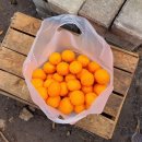 해보농장 이미지