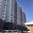 메디팜 청화약국 이미지