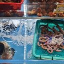 해삼횟집