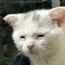 향나무촌 이미지