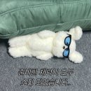 코리안덕 | 사당역 술집｜윤공 코리안비스트로 신관 후기