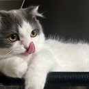 메디컬마트 이미지