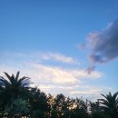 휘닉스 실내수영장 | 🏝️제주 휘닉스 아일랜드 수영장 후기💦 감성 노을+음악 흐르는 야외수영장🌇
