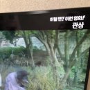 OCN MOVIES2 이미지