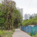 등기소 사거리 이미지