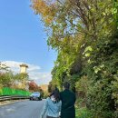 서리풀4길 43 (1) 이미지