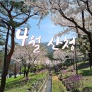 선비뜨락 | 부산출발 버스여행 경남 산청 1박2일 버스투어