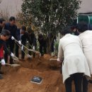 장수천* 이미지