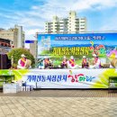 가야시장 경남신문