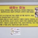 보배생합칼국수