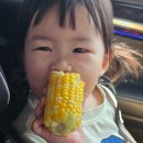 경상북도 청도학생수련원 | 20개월 아기 데리고 SNS에서 핫한 플레이청도 명당 A-3 직접 다녀온 솔직후기!