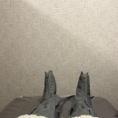 도도피부 이미지