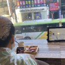 필헤어테크 네이버블로그