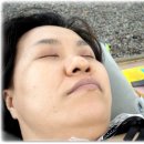 환희장 Daum카페