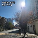 부산지방국세청 별관 이미지