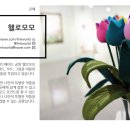 헬로모모