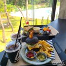 나라라벌룬 데이지 풍선으로 사랑이 255일