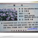 산외중학교 이미지