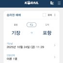 포항역 | 마음 기차 예매 할인 예약방법 | 동해선 기장역에서 포항역 후기 | 가격, 탑승장, 좌석 추천, 역사 정보