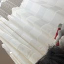 김병호정형외과의원 이미지