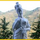 포사 카카오 검색결과