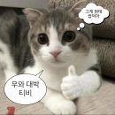 파르코 이미지
