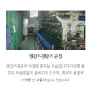 영진농자재