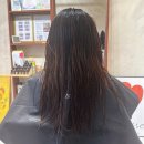 성남시청 탄천관 | 성남시청 미용실 추천 - 에츠헤어살롱 성남시청점 클리닉 후기 &amp; 손상모 관리 방법