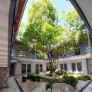 IMG National 컨트리클럽 | 여행] 파타야 프리미엄 골프의 정수, '시암 컨트리클럽 워터사이드(Siam Country Club Waterside...