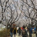 목동동로1길 이미지