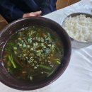 옥천향수사계절식당 | 옥천9경중 제1경 둔주봉 한반도지형, 안남식당