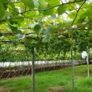 희성농장 이미지