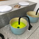 바디꾹 네이버블로그