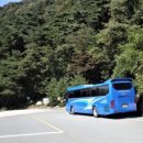 백두대간감자탕 이미지