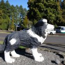 한재희농장 이미지