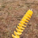 31140-9-25-3 | 2025 부산국제록페스티벌 후기(25. 9. 28, 3일차)