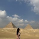 카이로약국 이미지