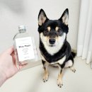 플레르퍼피 | 안전한 강아지 디퓨져 실내 디퓨저 추천 천연 방향제 플레르퍼피