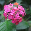 햇살좋은아침 이미지