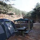 (주)힐링&자연 이미지