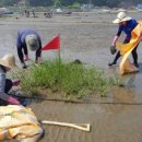 서천 바닷가 갯벌 이미지
