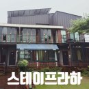 스테이 미도 | 경주 가성비 펜션 스테이프라하 감성있는 복층 숙박후기