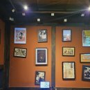 청춘연어 이미지